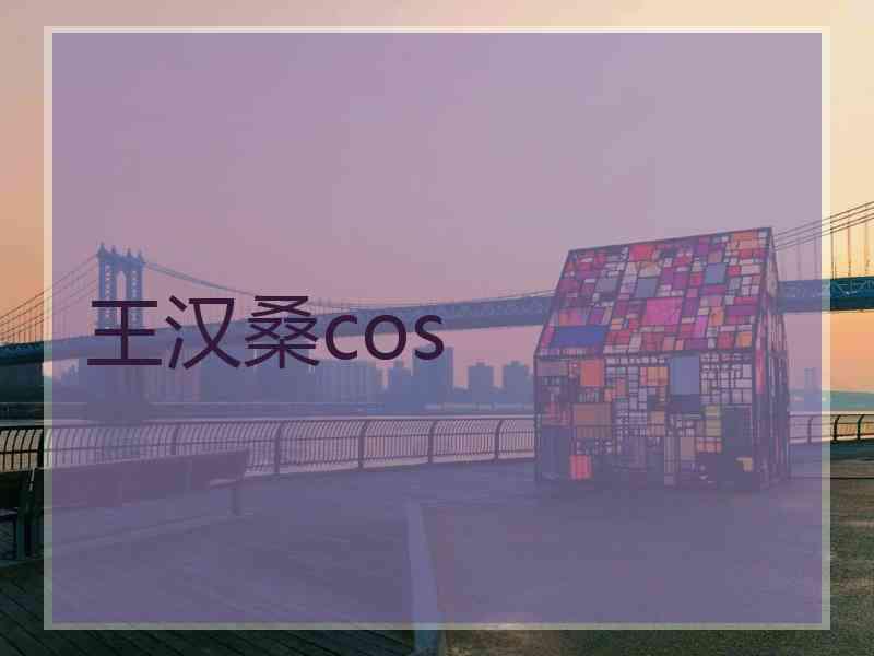 王汉桑cos