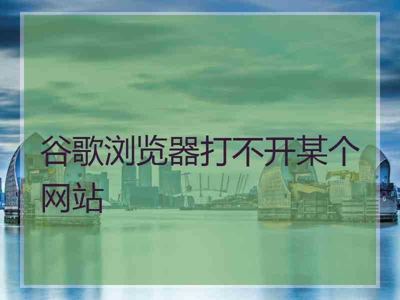 谷歌浏览器打不开某个网站