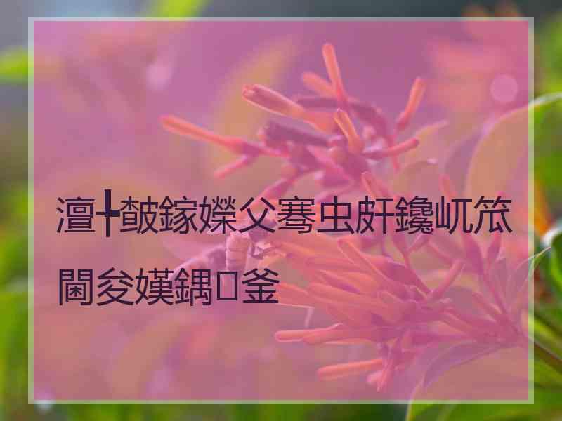 澶╄皶鎵嬫父骞虫皯鑱屼笟閫夋嫨鍝釜