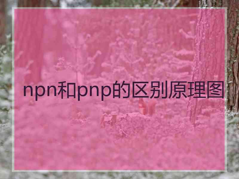 npn和pnp的区别原理图