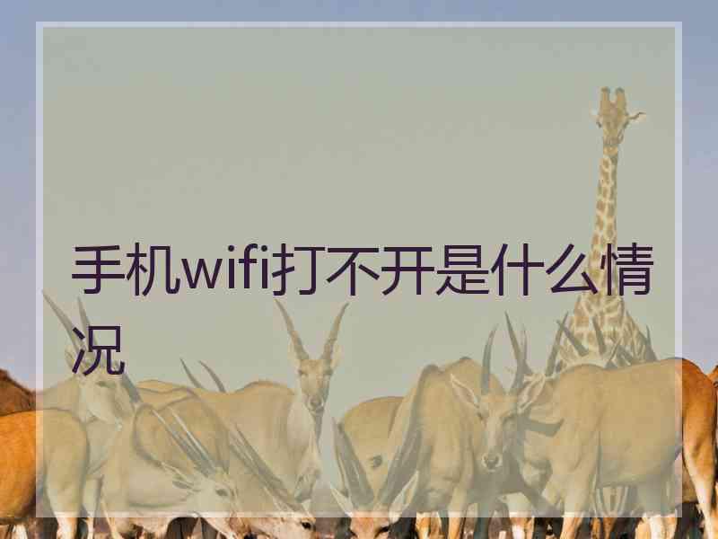 手机wifi打不开是什么情况