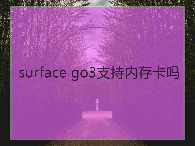 surface go3支持内存卡吗