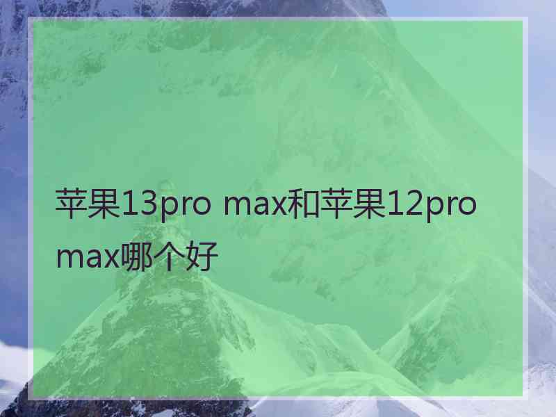 苹果13pro max和苹果12promax哪个好