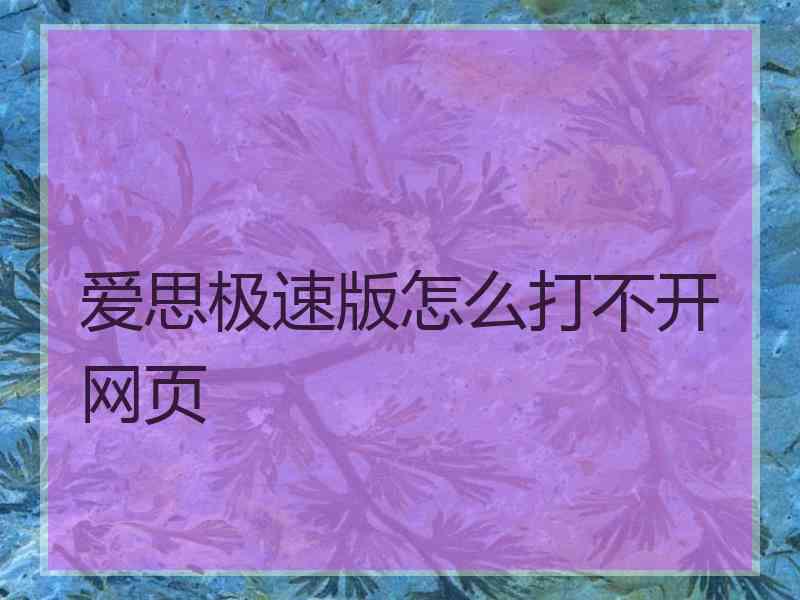 爱思极速版怎么打不开网页