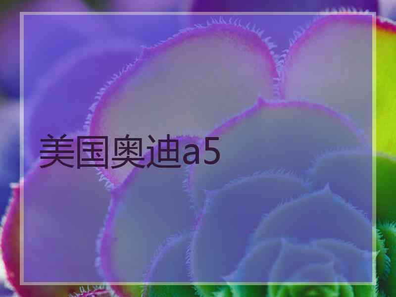 美国奥迪a5