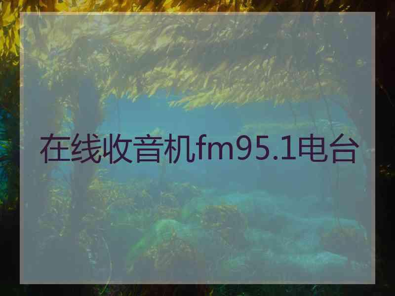 在线收音机fm95.1电台