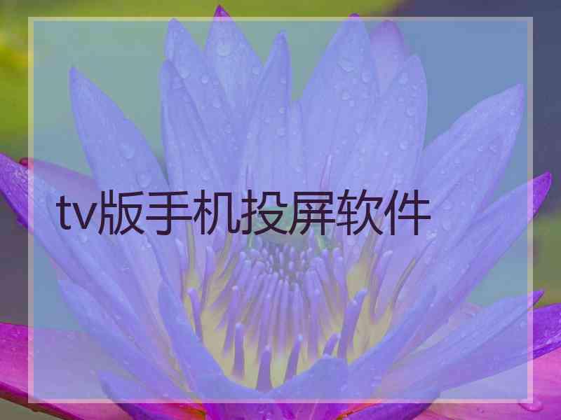 tv版手机投屏软件