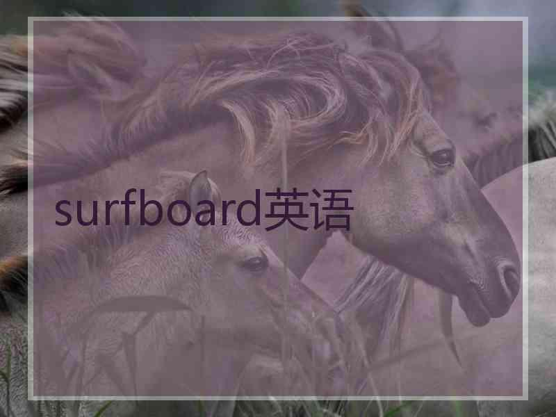 surfboard英语