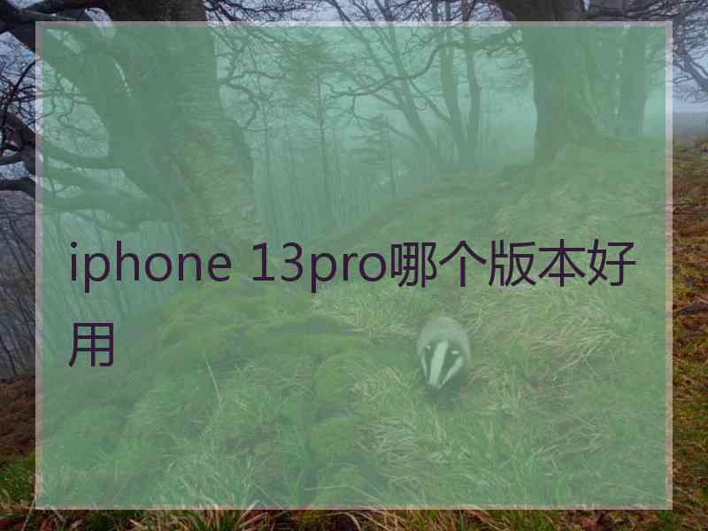 iphone 13pro哪个版本好用