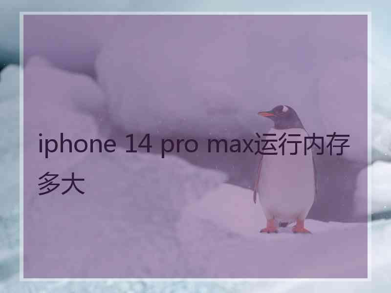 iphone 14 pro max运行内存多大