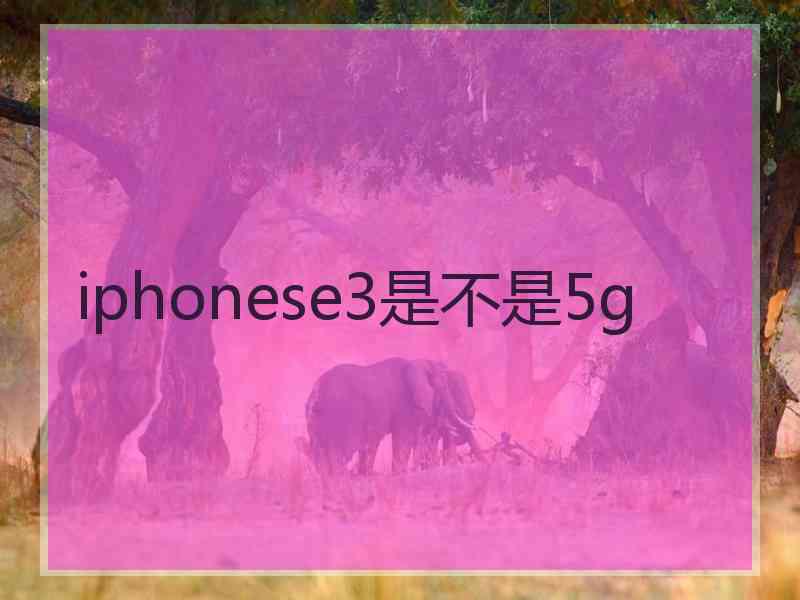 iphonese3是不是5g