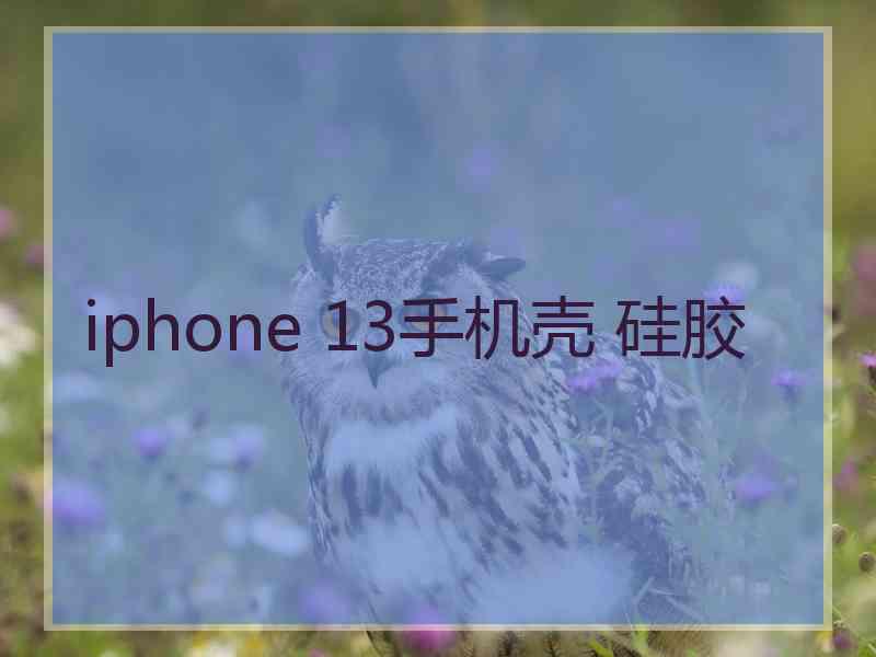 iphone 13手机壳 硅胶