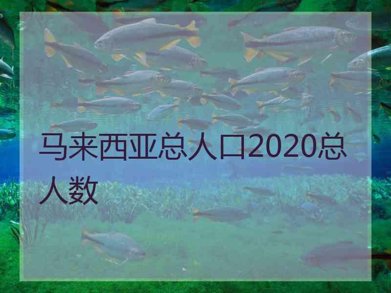 马来西亚总人口2020总人数