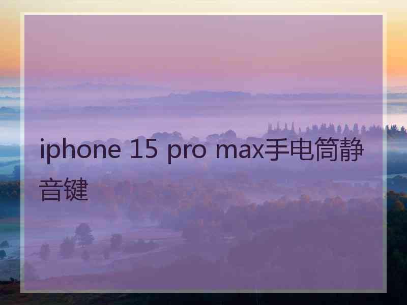 iphone 15 pro max手电筒静音键