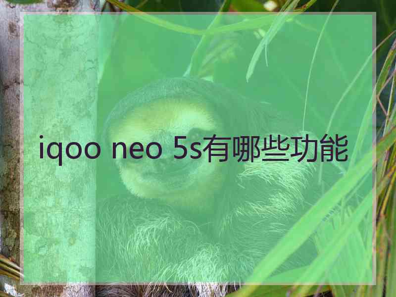 iqoo neo 5s有哪些功能