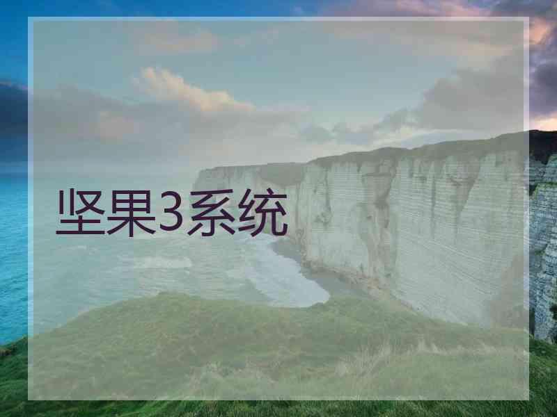 坚果3系统