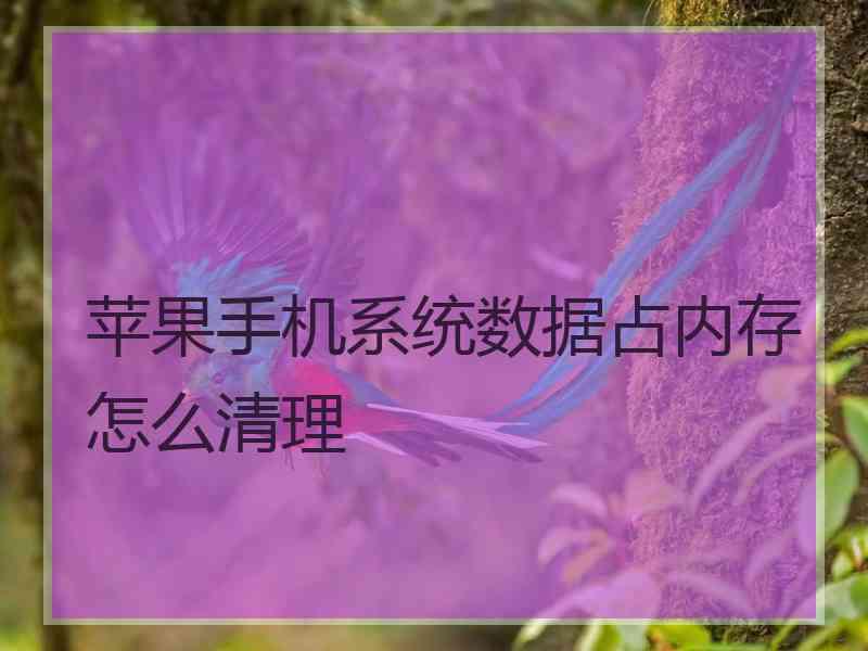 苹果手机系统数据占内存怎么清理