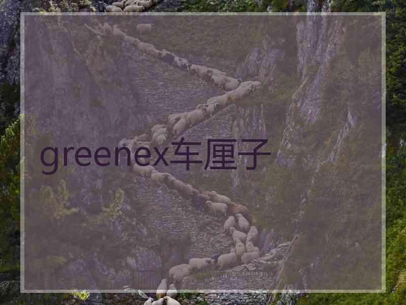 greenex车厘子