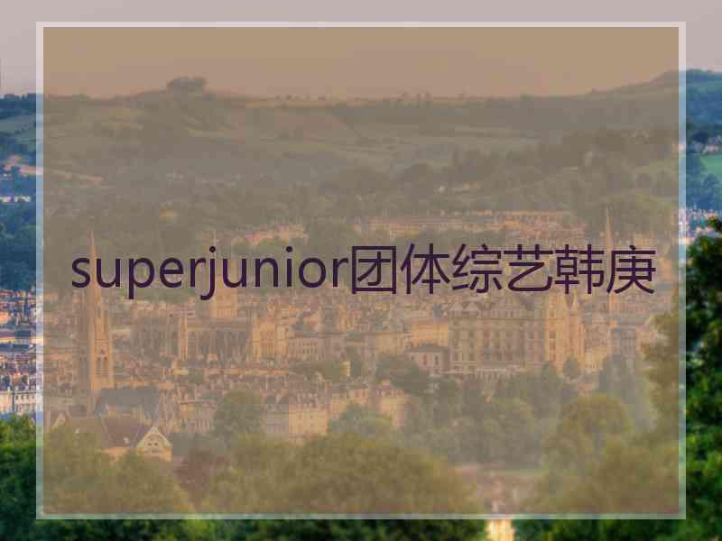 superjunior团体综艺韩庚