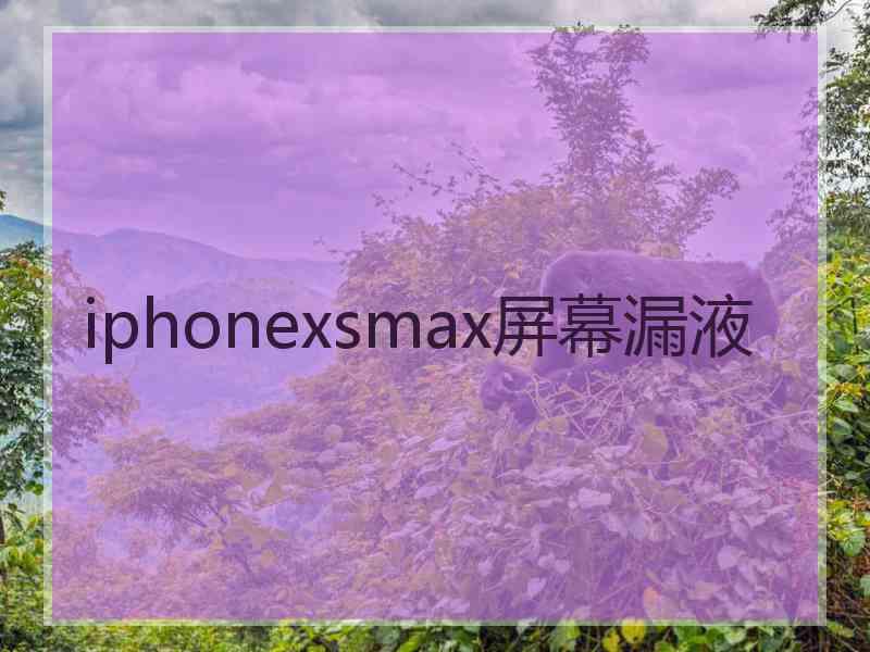 iphonexsmax屏幕漏液