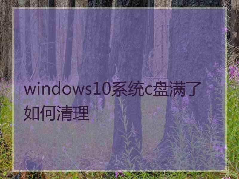 windows10系统c盘满了如何清理