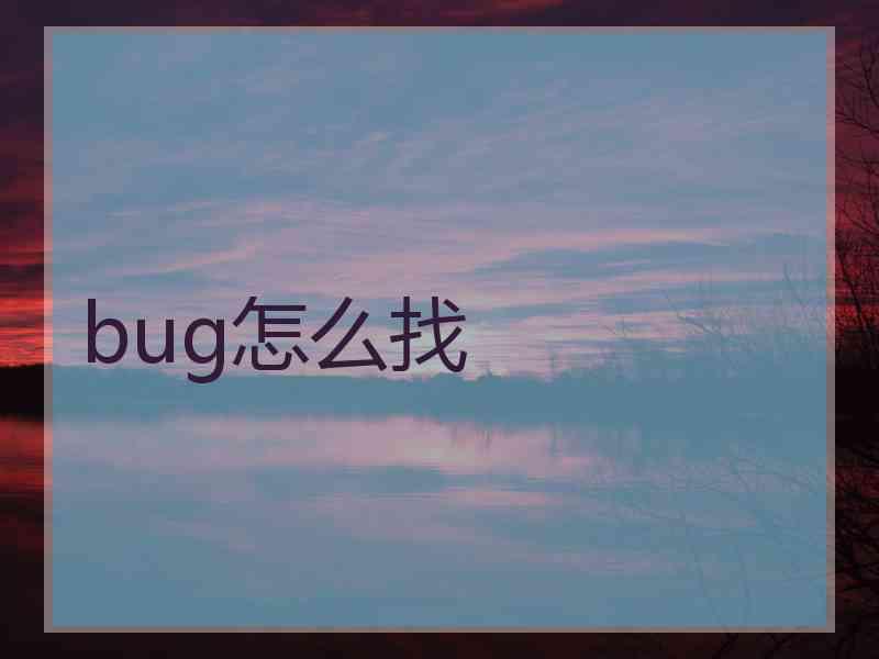 bug怎么找