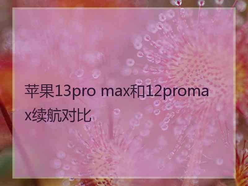 苹果13pro max和12promax续航对比