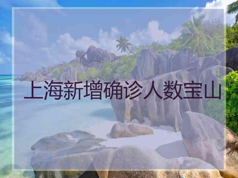 上海新增确诊人数宝山