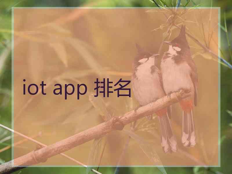 iot app 排名