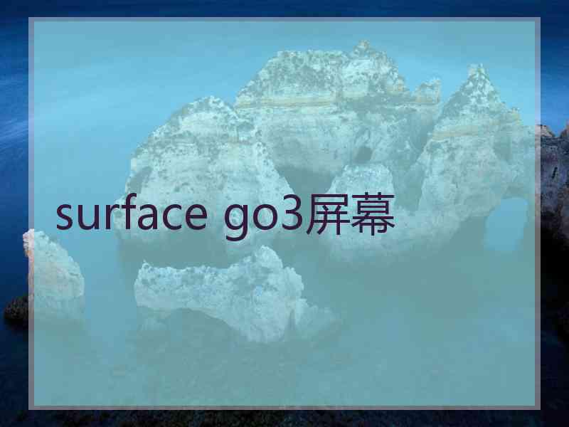 surface go3屏幕