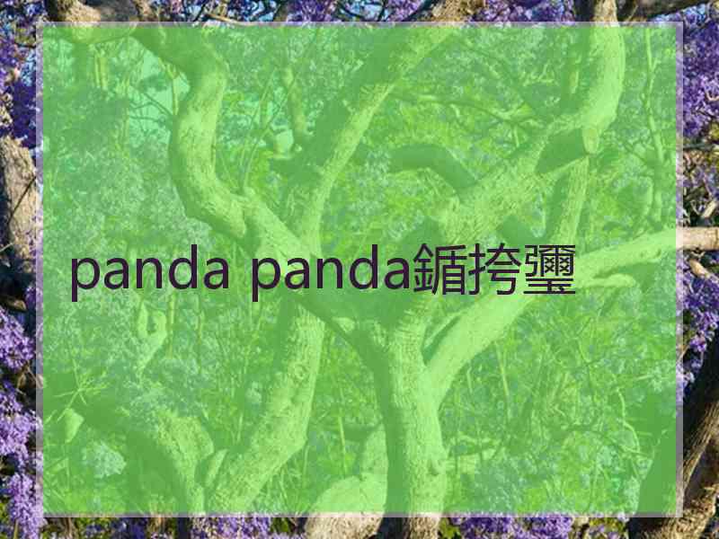 panda panda鍎挎瓕