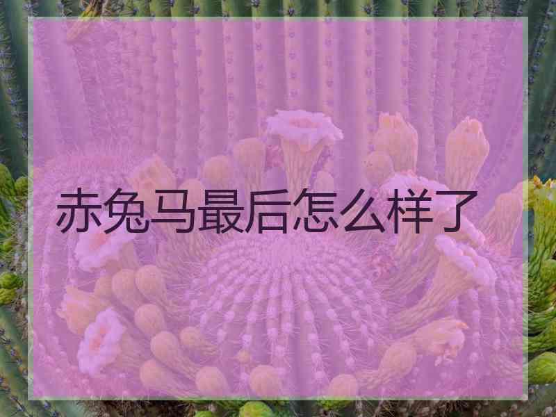 赤兔马最后怎么样了