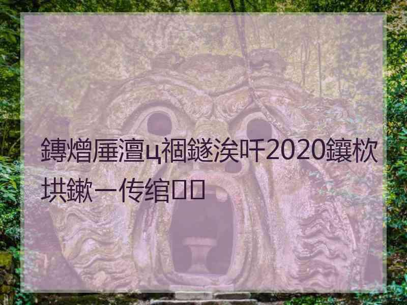 鏄熷厜澶ц祻鐩涘吀2020鑲栨垬鏉ㄧ传绾㈡