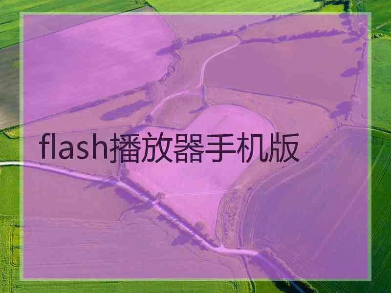 flash播放器手机版