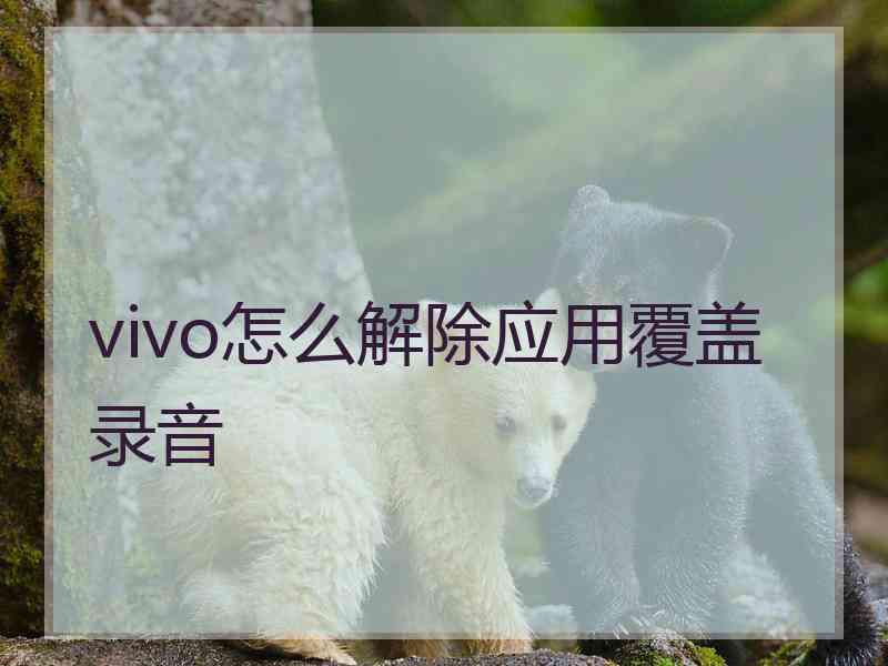 vivo怎么解除应用覆盖录音