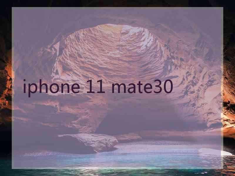 iphone 11 mate30