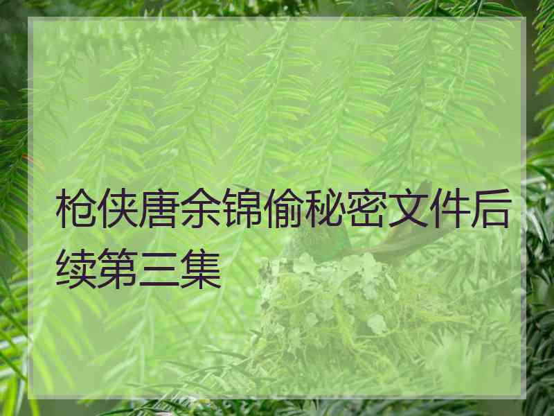 枪侠唐余锦偷秘密文件后续第三集