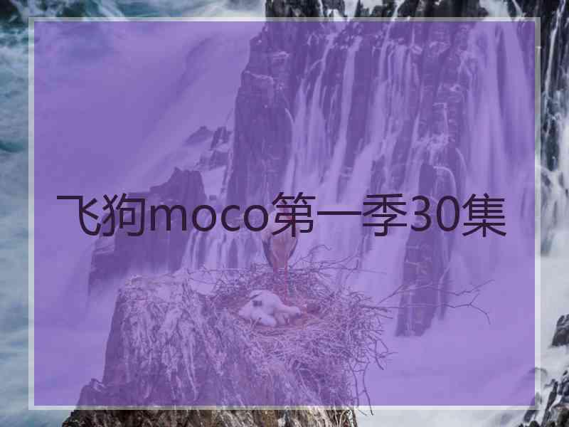 飞狗moco第一季30集