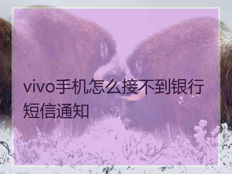 vivo手机怎么接不到银行短信通知