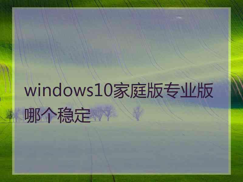 windows10家庭版专业版哪个稳定