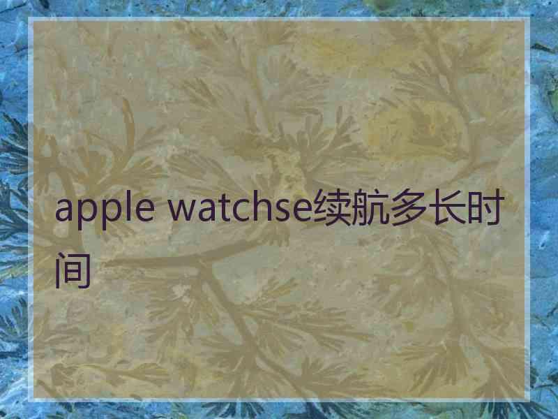 apple watchse续航多长时间