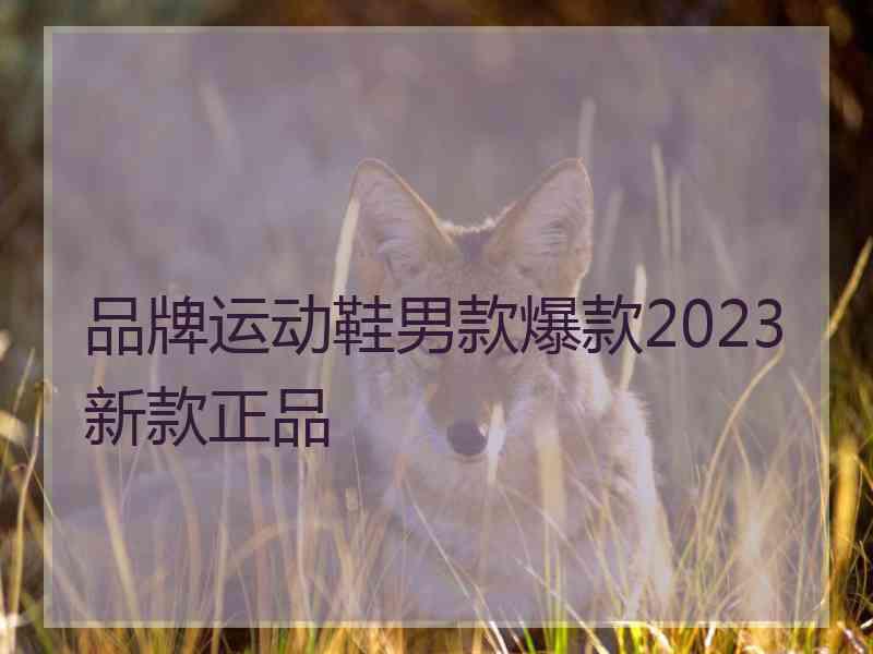 品牌运动鞋男款爆款2023新款正品