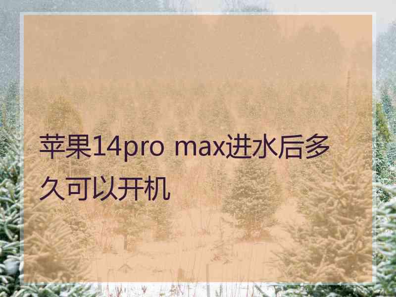 苹果14pro max进水后多久可以开机