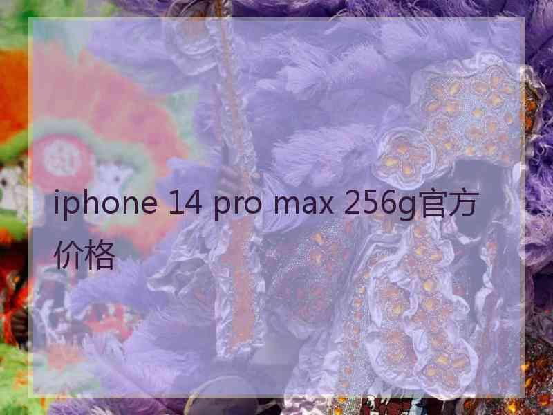 iphone 14 pro max 256g官方价格