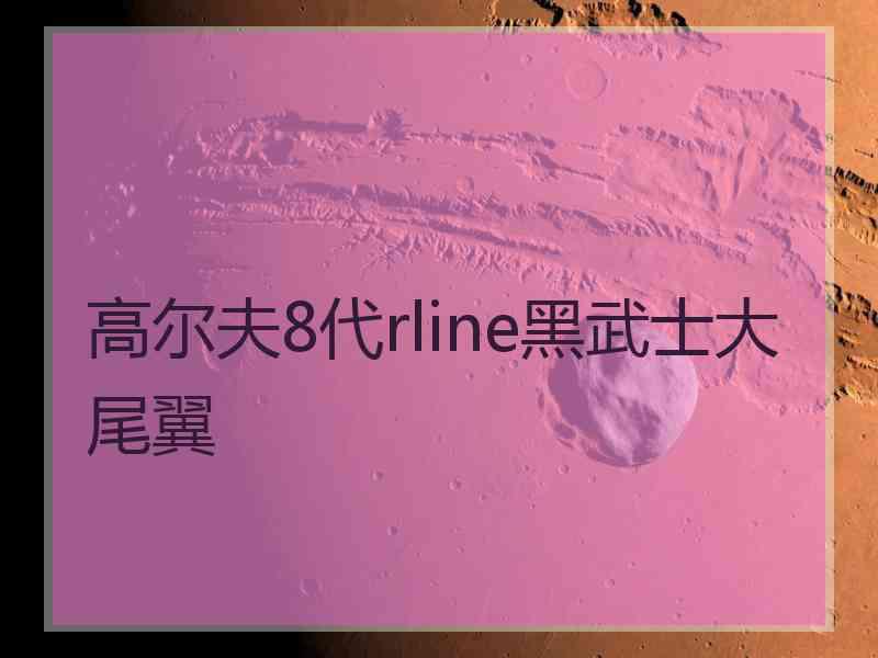 高尔夫8代rline黑武士大尾翼