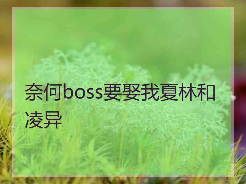 奈何boss要娶我夏林和凌异