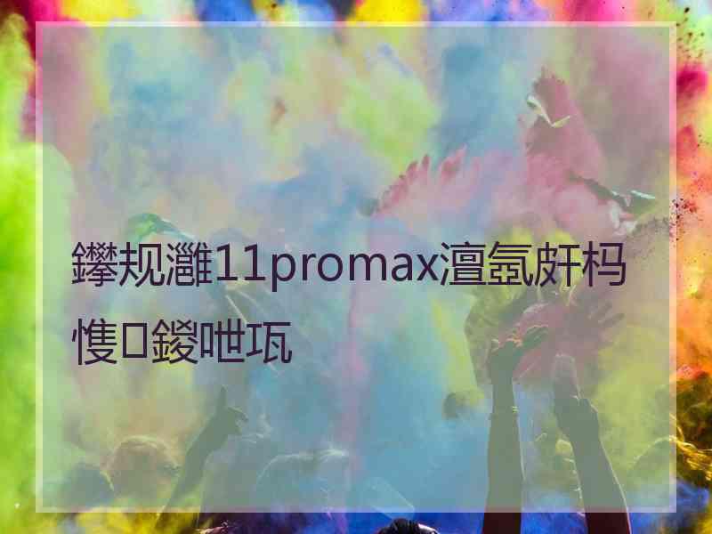 鑻规灉11promax澶氬皯杩愯鍐呭瓨