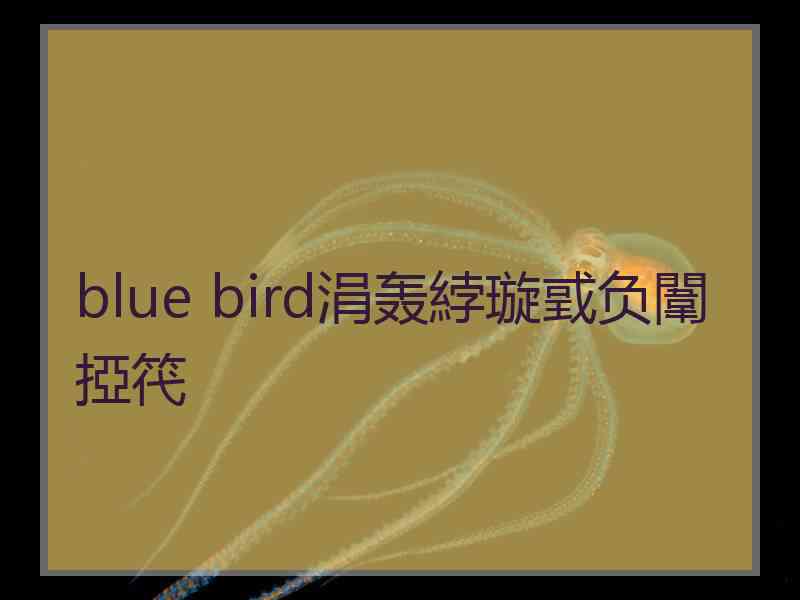 blue bird涓轰綍璇戜负闈掗笩