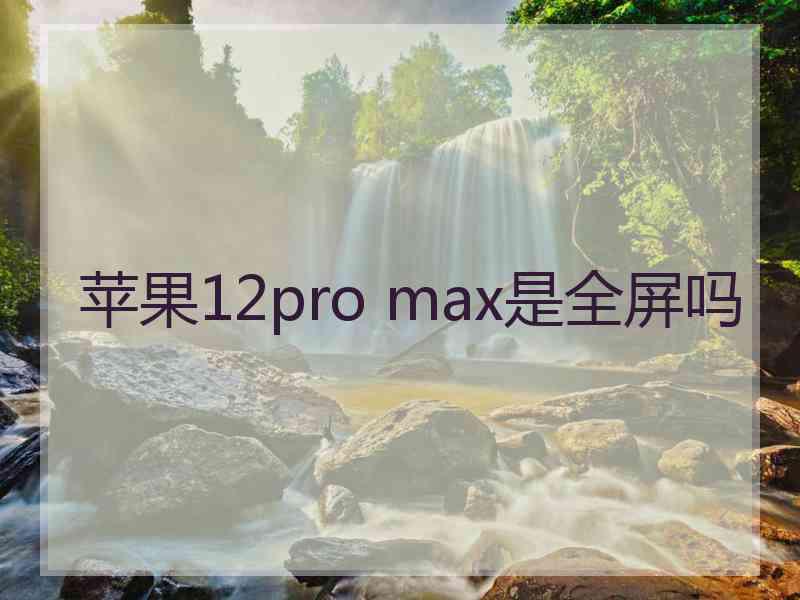 苹果12pro max是全屏吗