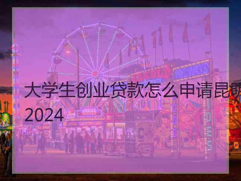 大学生创业贷款怎么申请昆明2024